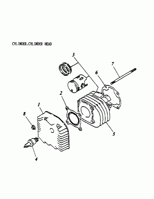  BRP Mini DS 50 2-strokes, 2002 - Cylinder, Cylinder Head 166-01