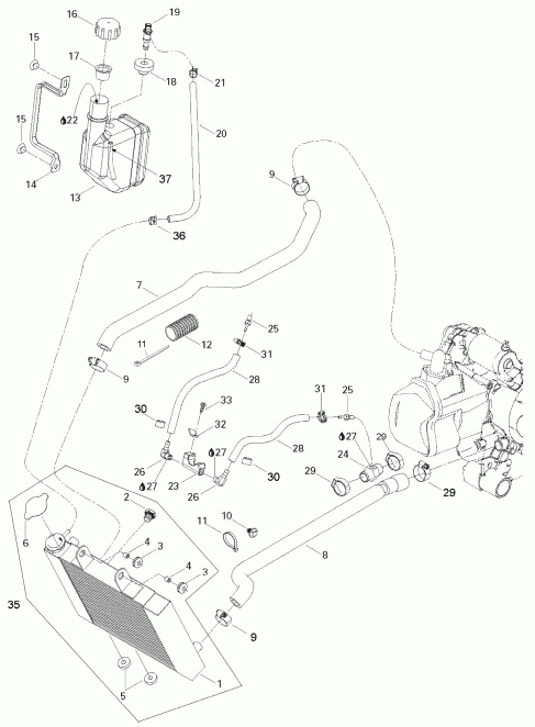  BRP Rally 175, 2006 -  System