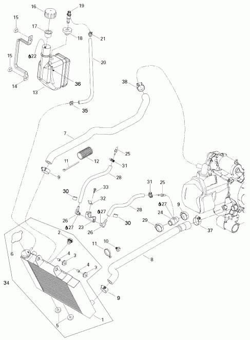 BRP Rally 175, 2007  -  System