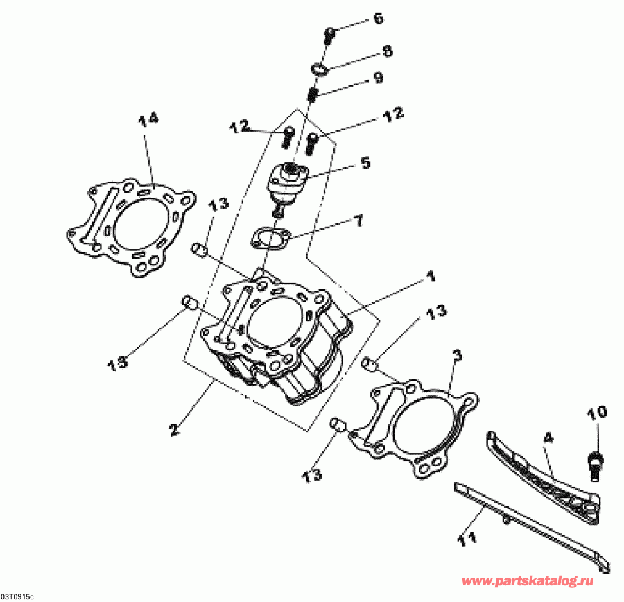  BRP  DS 250 NA, CE & INT, 2012 - Cylinder