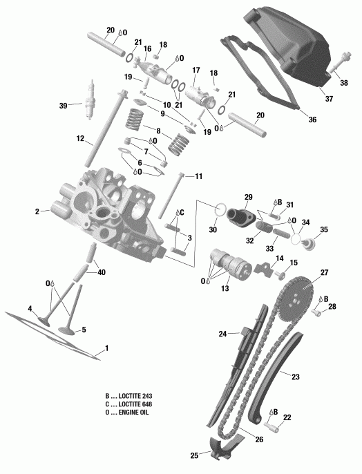 003 - Outlander 570 EFI - International - European Communities, 2019  - Cylinder Head, Rear