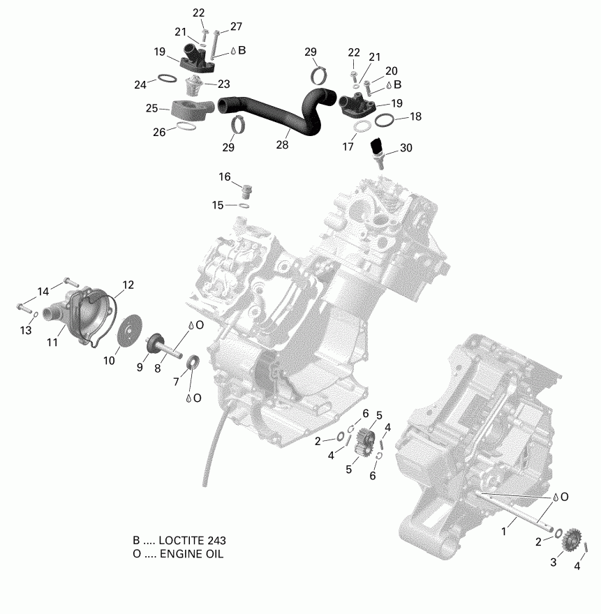 ATV BRP  006 - Outlander MAX 570 EFI - International - European Communities, 2019 -  