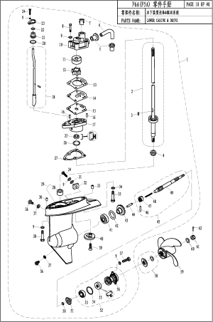 LOWER CASING &  DRIVE (  )