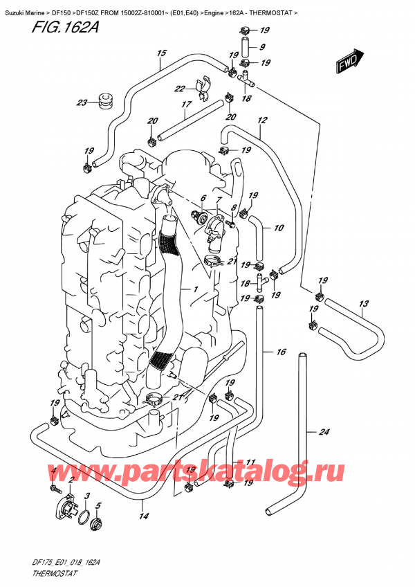  ,  ,  DF150Z L/X FROM 15002Z-810001~ (E01)  2018 ,  / Thermostat