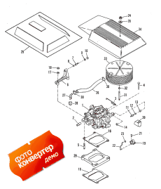 Carburetor And Linkage (   )