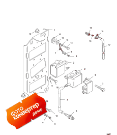 Coil Plate (Coil )