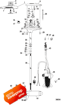 Complete Trolling Motor (tr82fb / Tr82fbd) (24 Volt) (�������� Trolling Motor (tr82fb / Tr82fbd) (24 Volt))