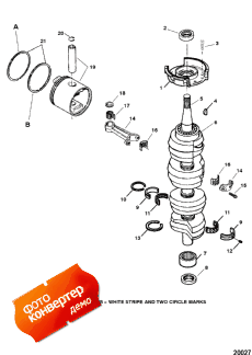 Crankshaft And Piston And Conn Rods (    Conn s)