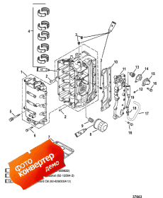 Cylinder Block ( )