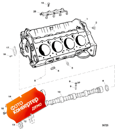 Cylinder Block And Camshaft (    )