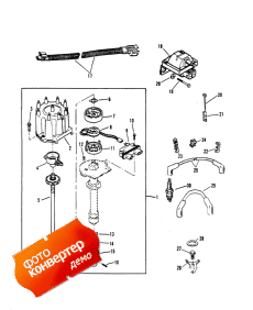 Distribitor And Ignition Components (Distribitor   )