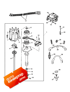 Distributor And Ignition Components (Distributor   )