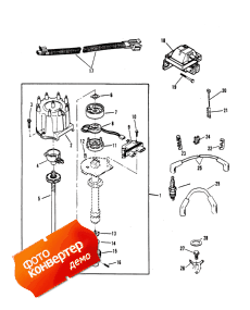 Distributor And Ignition Components (Distributor   )