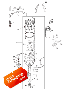 Distributor And Ignition Components (Distributor   )