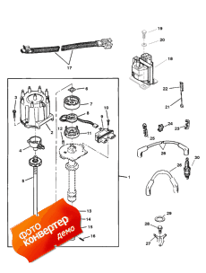 Distributor And Ignition Components (Distributor   )