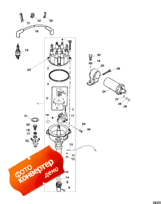 Distributor And Ignition Components (Distributor   )