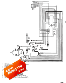 Edi Harness (Edi  )