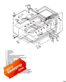 Electrical Components (efi Wire Harness) (  (efi   ))