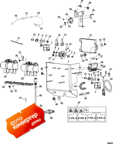 Electrical Components (ignition) (  (ignition))