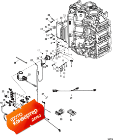 Electrical Plate Assembly (  Assembly)