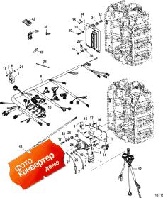 Electrical Plate Assembly (  Assembly)