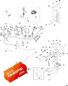 Electrical Plate Assembly (  Assembly)