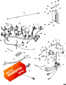 Electrical Plate Assembly (  Assembly)