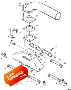 Exhaust Manifold/elbow (  / elbow)