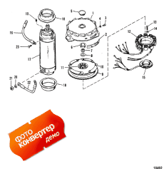 Flywheel And Starter Motor (   )