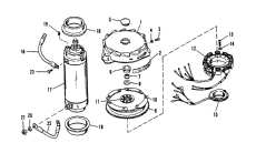 Flywheel / Starter Motor ( /  )