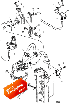 Fuel Hose Routings (  Routings)