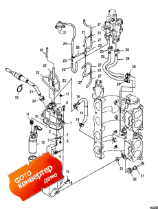 Fuel Injection Pump (Fuel Injection )