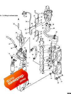 Fuel Injection Pump (Fuel Injection )