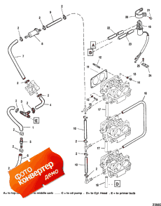 Fuel Lines ()