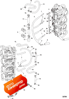 Fuel Lines ()