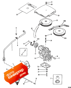 Fuel Pump And Carburetor (   )