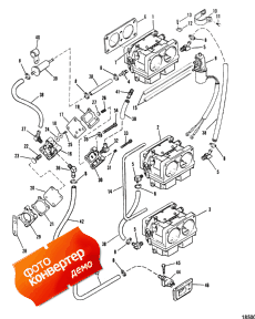 Fuel Pump And Carburetor (   )