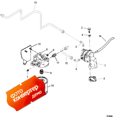 Fuel Pump And Fuel Filter (    )