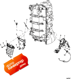 Fuel Supply Module Mounting (   )