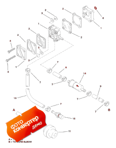 Fuel System ( )