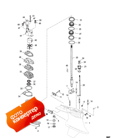 Gear Housing (driveshaft) (standard/counter Rotation) (  (drivesha ) ( /  ))