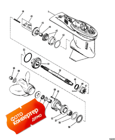 Gear Housing (propeller Shaft) (  (  ))