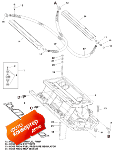 Intake Manifold And Fuel Rails (    s)