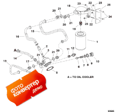 Oil Filter And Oil Hoses (   Oil s)