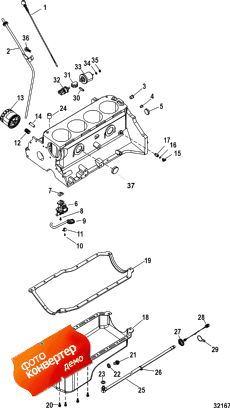 Oil Pan And Oil Pump (    )