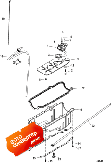 Oil Pan And Oil Pump (    )