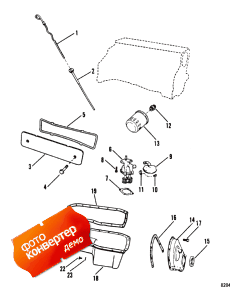 Oil Pan And Oil Pump (    )