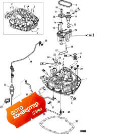 Oil Pump/adaptor Plate-upper (  /  -)