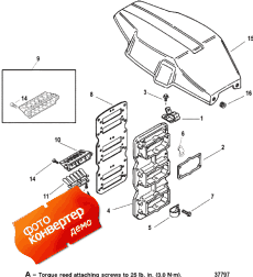 Reed Block/flywheel Cover (Reed Block /  )