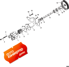 Sea Water Pump Assembly (Sea   Assembly)